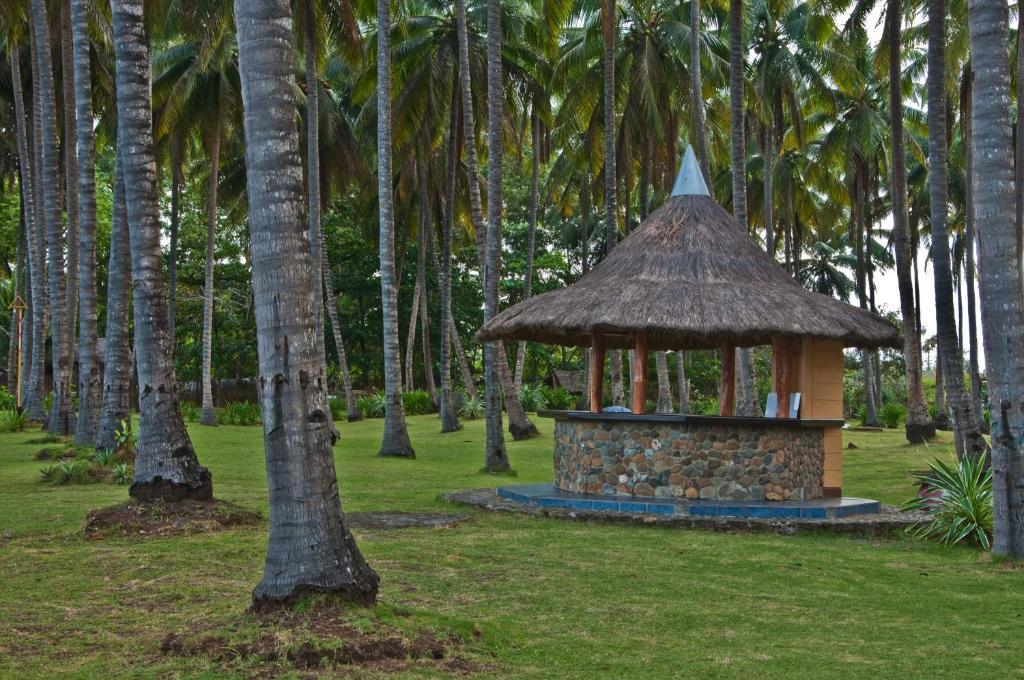Crystal Paradise Resort Spa & Winery Narra Exterior photo